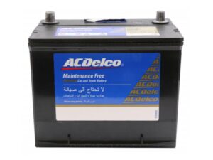Ac Delco car Battery
